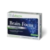 Brain & Focus LB Pharma